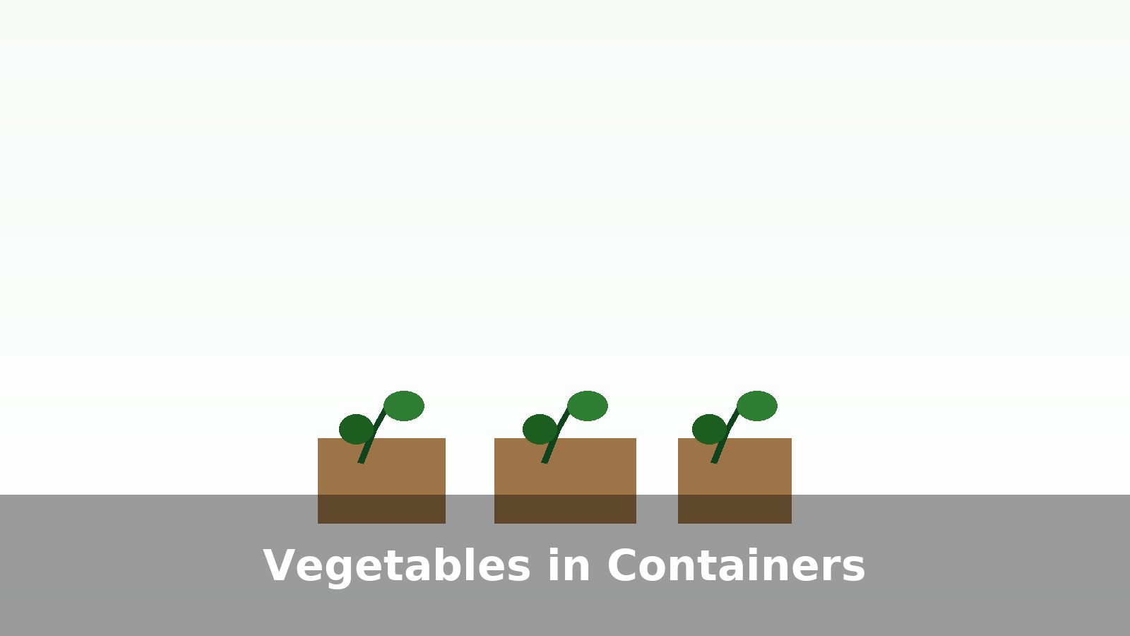 Vegetables growing in containers on a patio