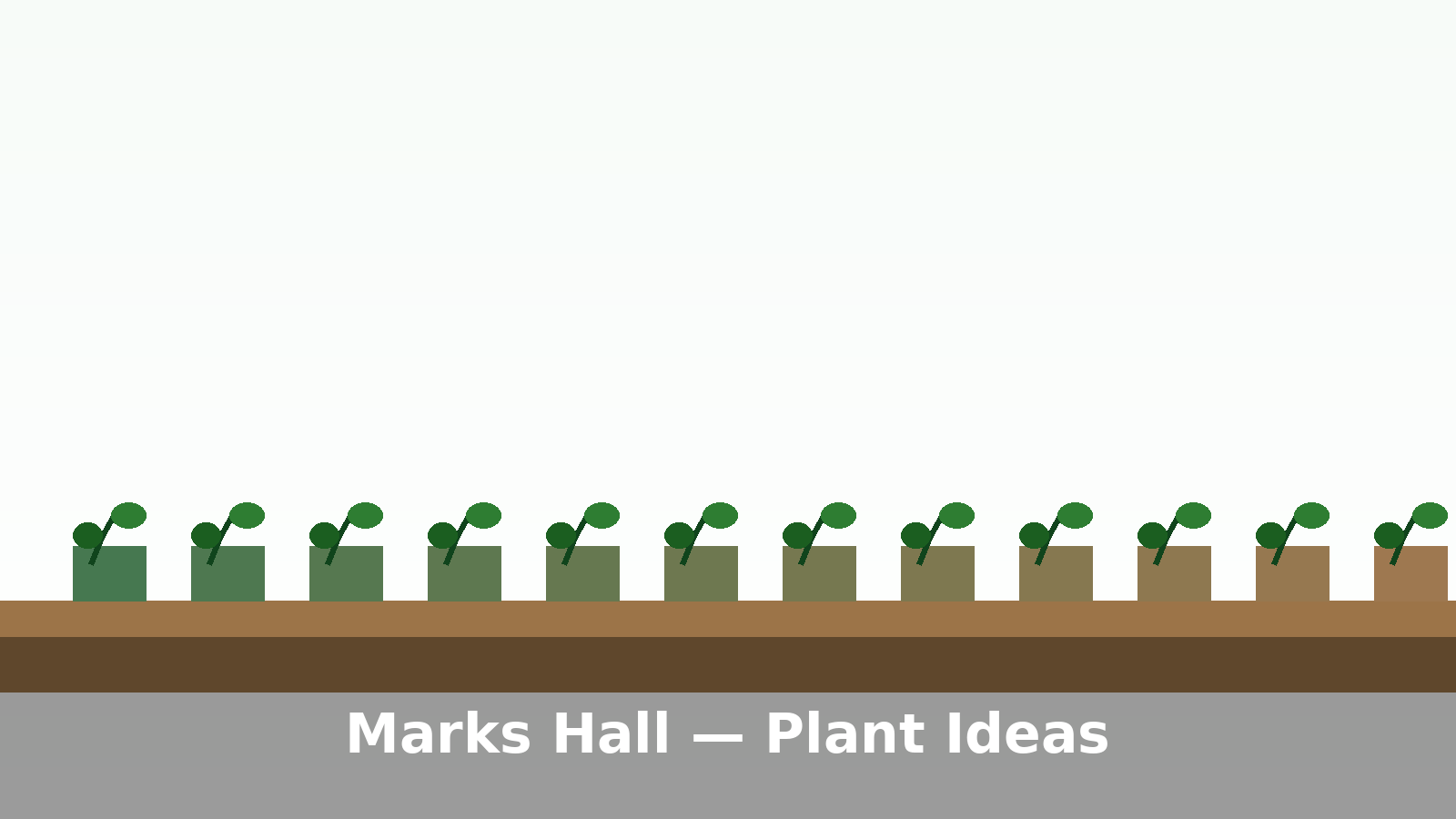 Planting combinations from Marks Hall Garden