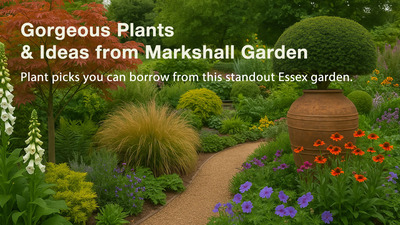 Planting ideas inspired by Markshall’s Walled Garden